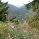harz